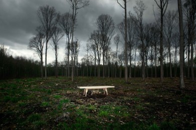 Strom, Olgojchorchoj, 2012, Křehký Strom, Olgojchorchoj, 2012, Křehký